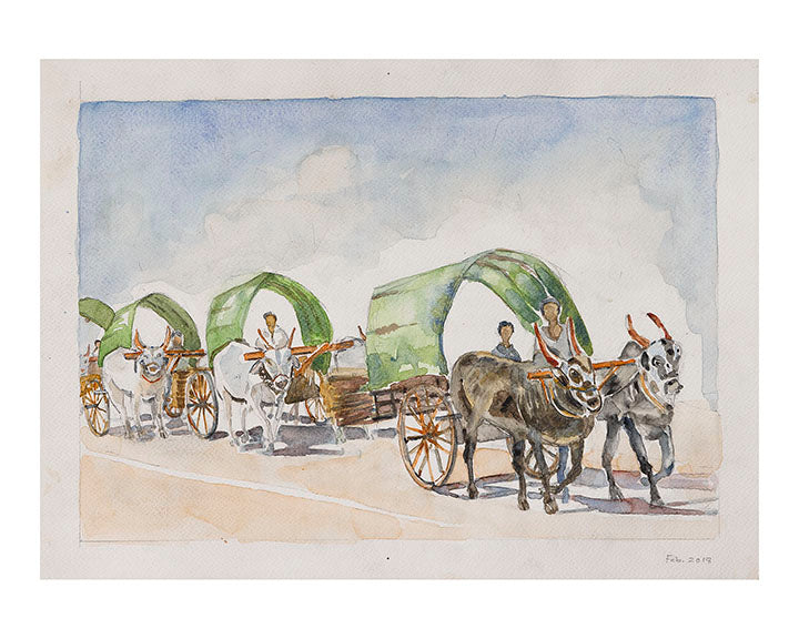 Caravan Of Bullock Carts